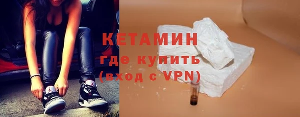 гидра Инта